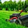 Lawn Aeration