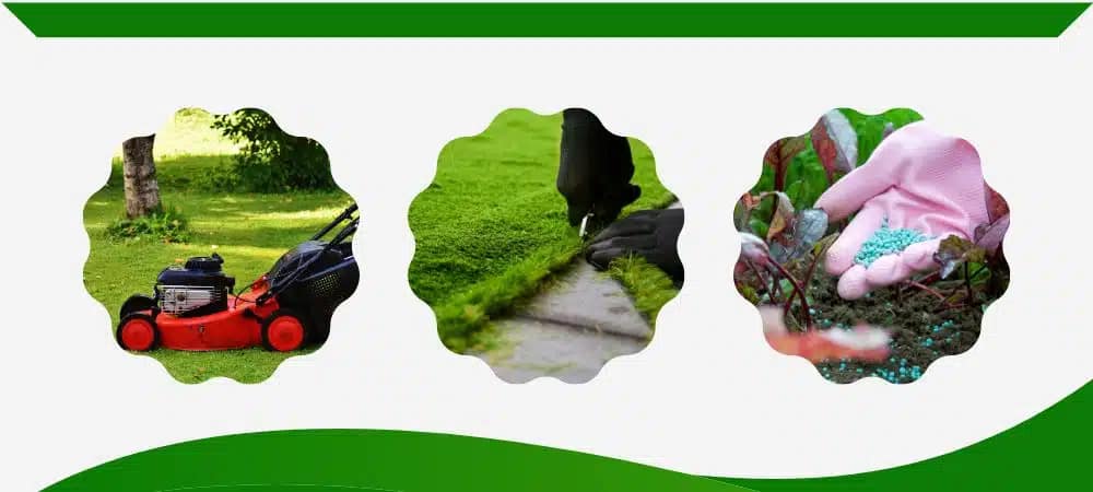 Top Ten Tips to Keep Your Yard Clean 4 mow,edge and fertilize