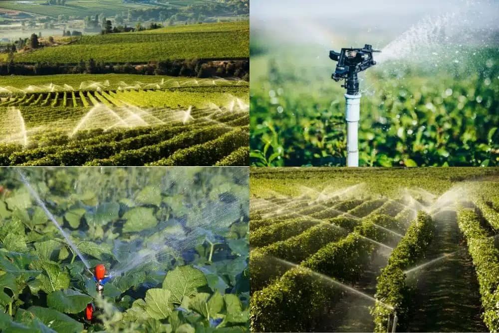 IRRIGATION AND SPRINKLERS