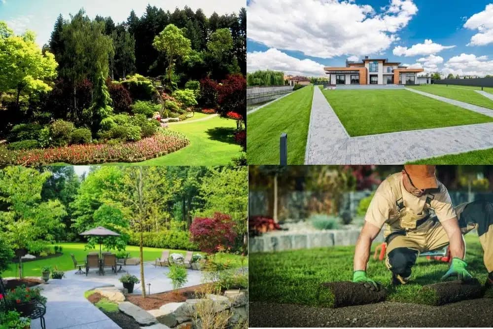 LANDSCAPE DEVELOPMENT 1 Landscape Development