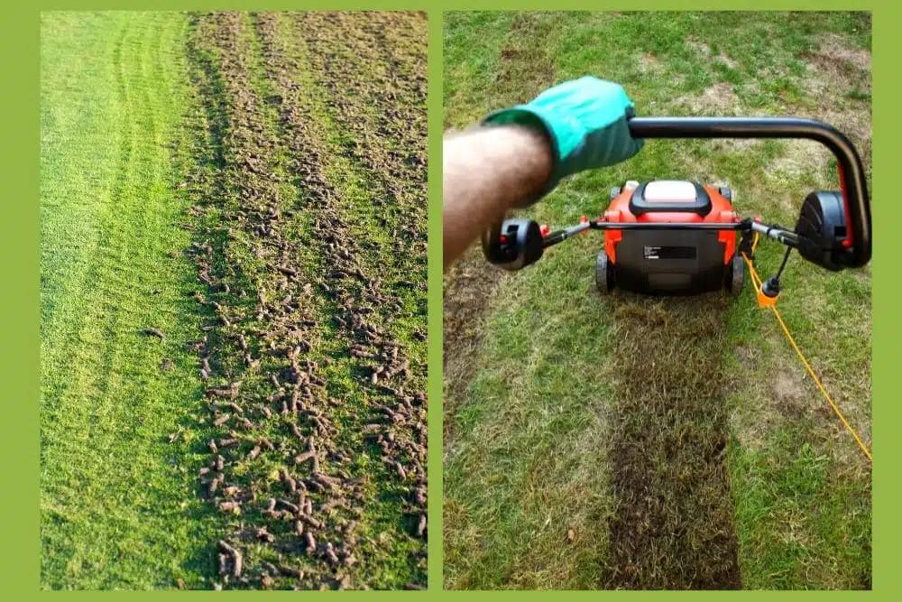 All You Need to Know About Lawn Aeration for a Healthy Landscape 3 Lawn-Aeration