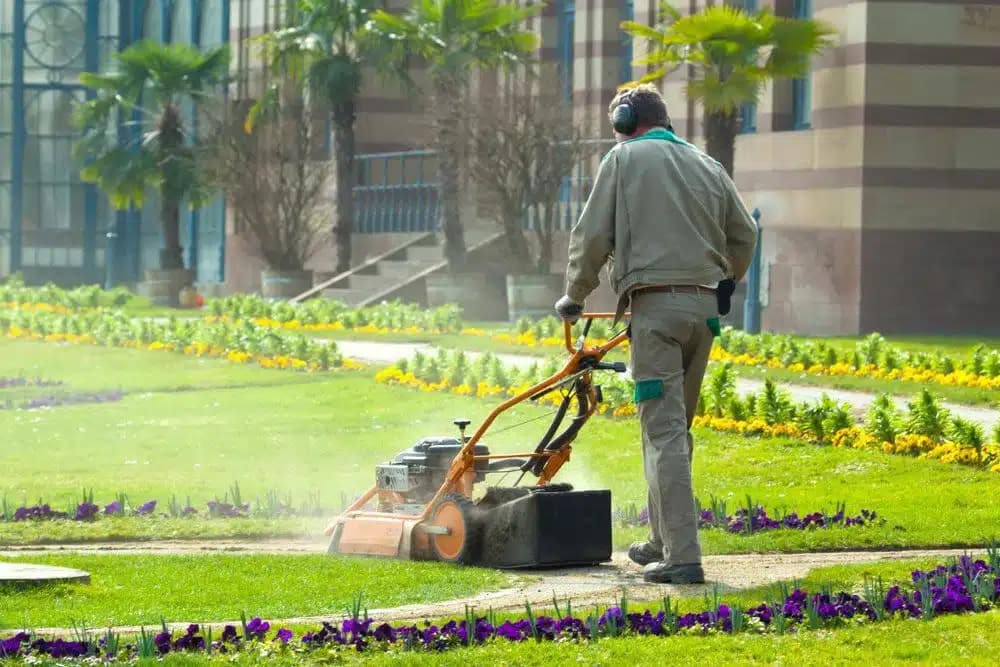 Lawn-and-Garden-Maintenance