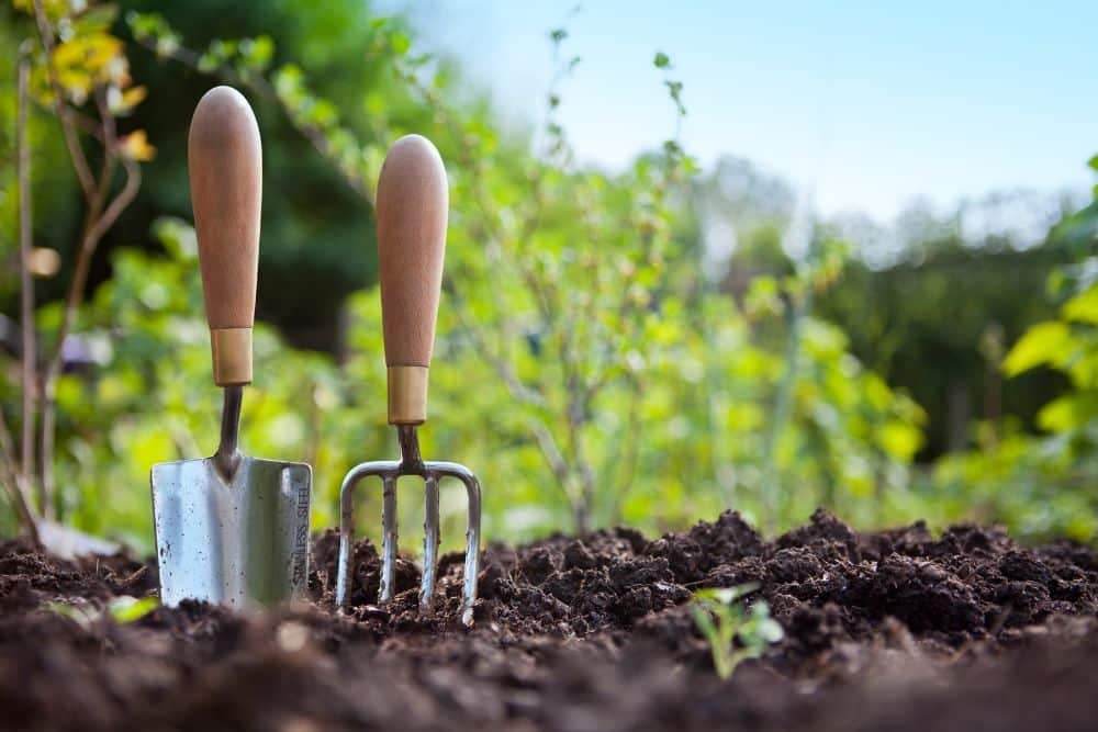 7 TIPS FOR GARDEN MAINTENANCE