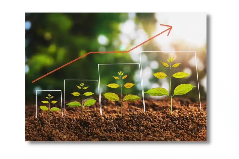 Plants May Outgrow or Grow Too Slow