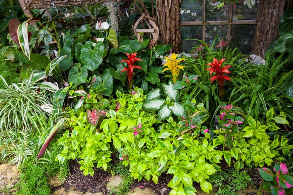 TYPES OF INDOOR GARDENS