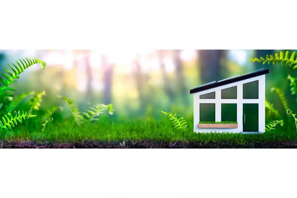 Top 5 Eco-Friendly Snow Removal Ideas 5 Eco-friendly