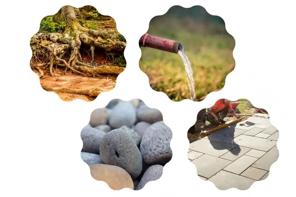 landscaping aesthetics