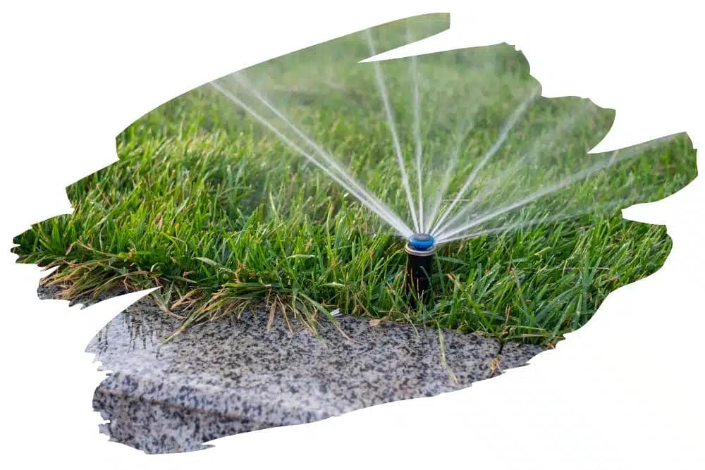 watering features