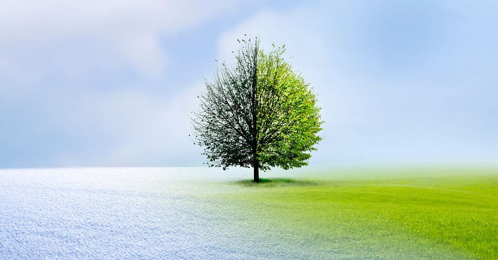 Top 7 Ways to Prepare Your Landscape for Spring Season