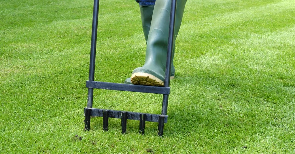 Lawn Aeration for a Healthy Landscape