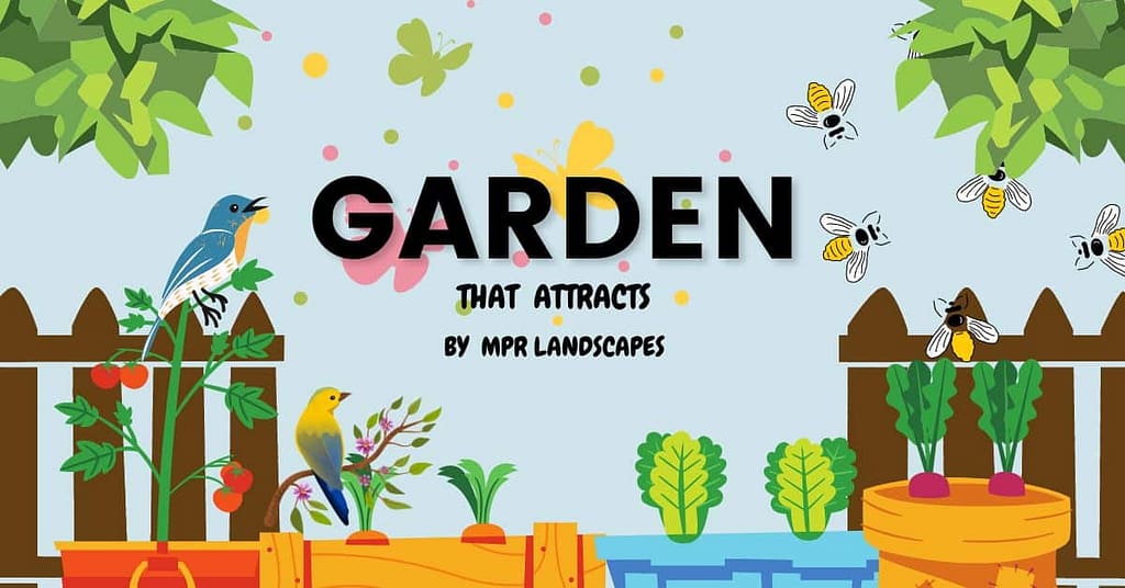 create a garden, landscape
