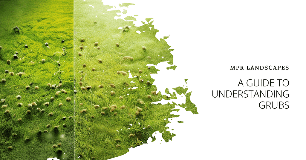 A Guide To Understanding Grubs: Identify And Eradicate Infestation 38 A Guide To Understanding Grubs