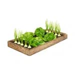 Soil Health and Composting