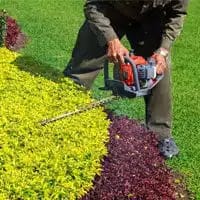 Trimming And Plant Maintenace 1 Patios and walkways