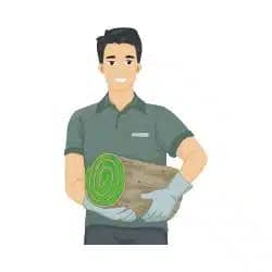 Understanding Your Needs