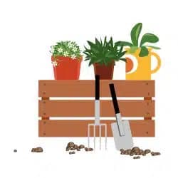 We are Home-grown and Family-Owned