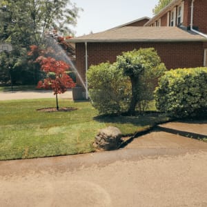 A large tree in the front yard made it difficult for this homeowner to maintain a healthy lawn due to exposed roots near the surface. To address the issue, we extended the mulched area around the tree to cover the visible roots and installed fresh sod throughout the remaining space. The updated layout created a cleaner look while protecting the tree and improving the overall landscape. Project 16 Sod Installation
