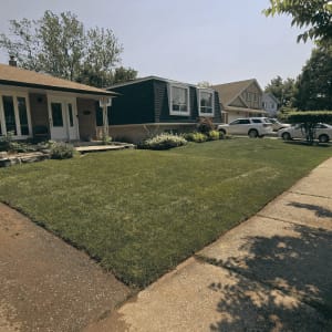 When you are tired of weeds and weed control doesn’t seem to be working, installing new sod can be an effective solution. Our team removed the top layer of the existing lawn using professional sod cutting equipment to eliminate underlying weed roots and seeds. Fresh sod was then installed, creating a clean, healthy, and vibrant new lawn. Project 20 Sod Installation