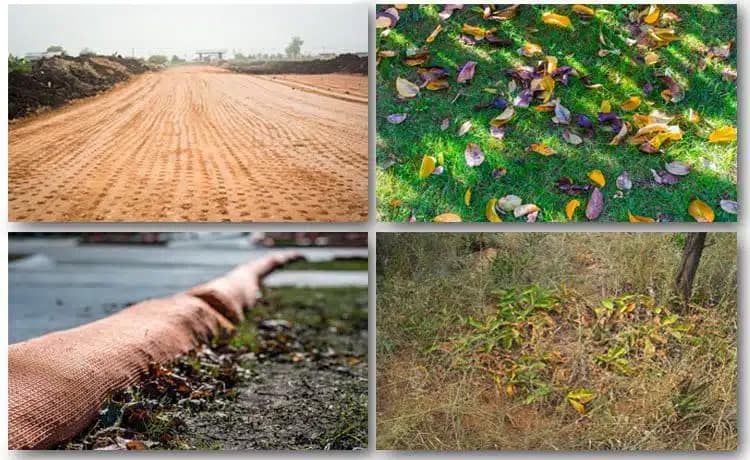 All You Need to Know About Lawn Aeration for a Healthy Landscape 4 Signs that Your Lawn is Clamoring for Aeration