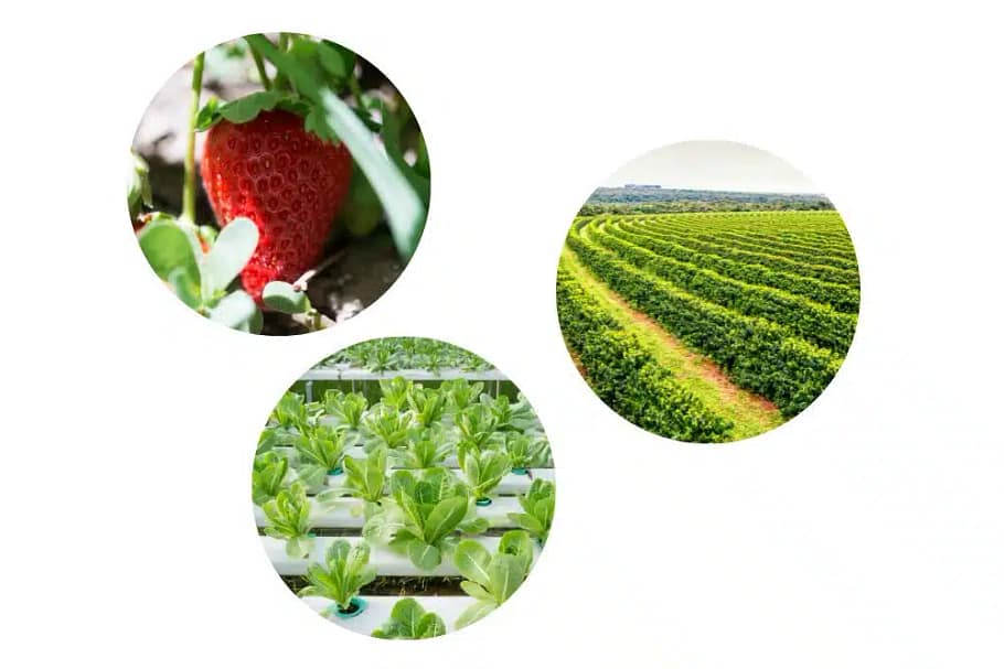 Landscaping and farming