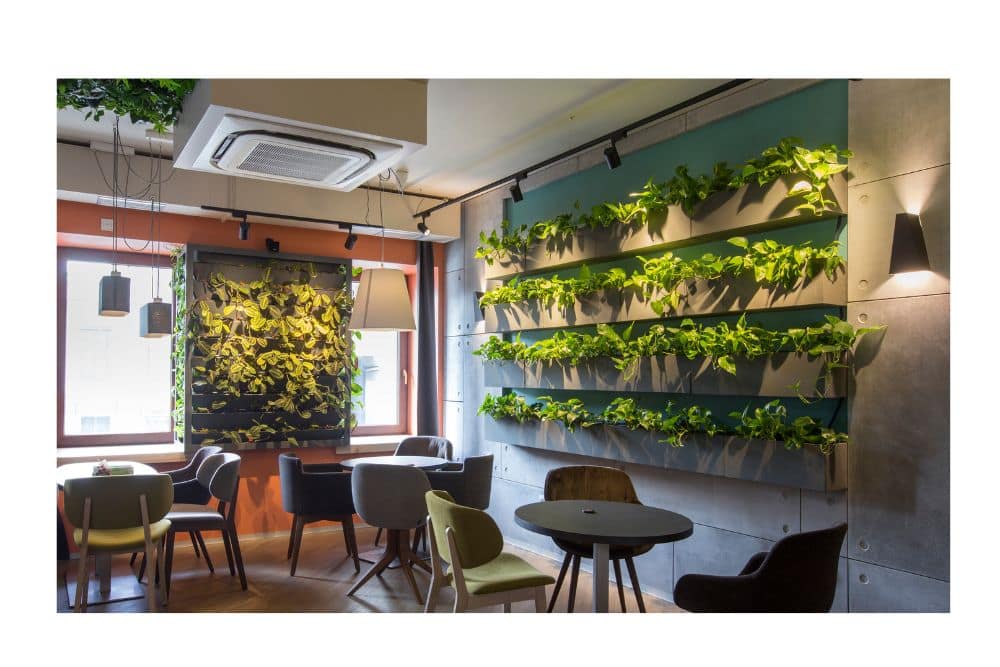 Living Walls