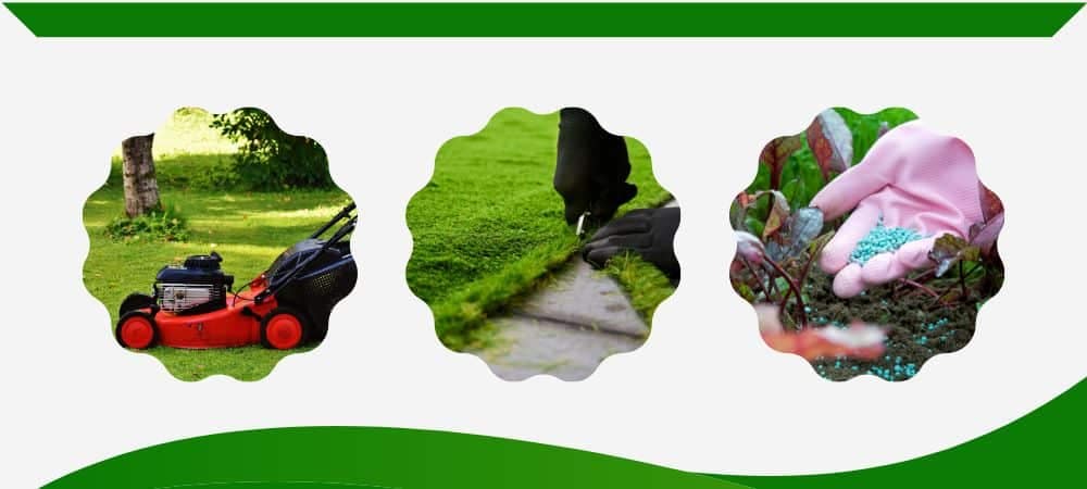 mow,edge and fertilize