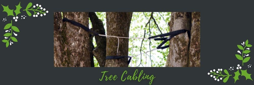 tree cabling