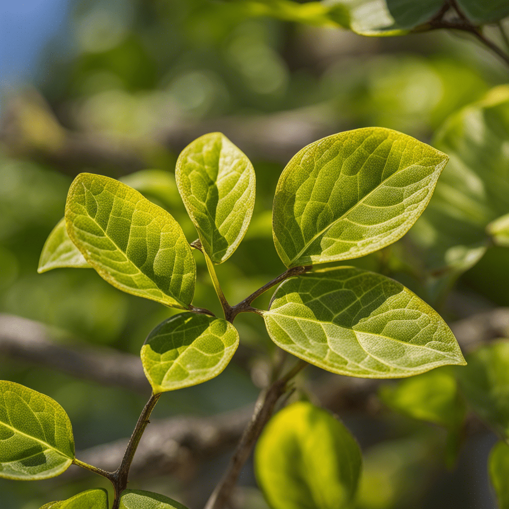 HOW DO DISEASES AFFECT YOUR LANDSCAPE